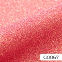 10067